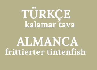 kalamar+tava-frittierter+tintenfish.png