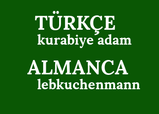 kurabiye+adam-lebkuchenmann.png