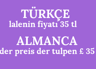 lalenin+fiyat%C4%B1+35+tl-der+preis+der+tulpen+%C2%A3+35.png