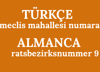 meclis+mahallesi+numara+9-ratsbezirksnummer+9.png