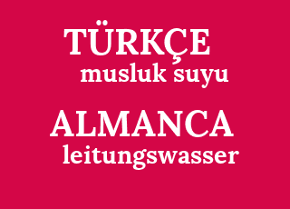 musluk+suyu-leitungswasser.png