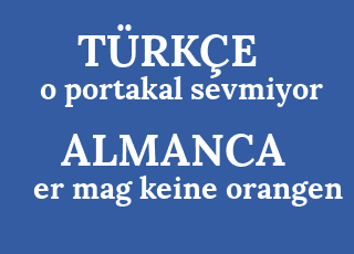 o+portakal+sevmiyor-er+mag+keine+orangen.png