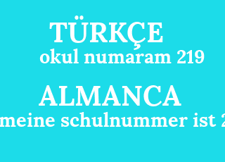 okul+numaram+219-meine+schulnummer+ist+219.png