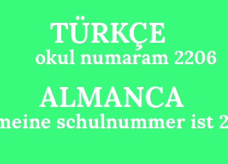 okul+numaram+2206-meine+schulnummer+ist+2206.png