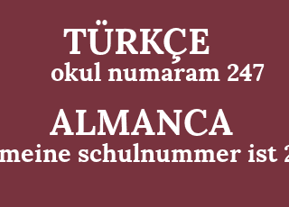 okul+numaram+247-meine+schulnummer+ist+247.png