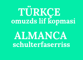 omuzds+lif+kopmasi-schulterfaserriss.png