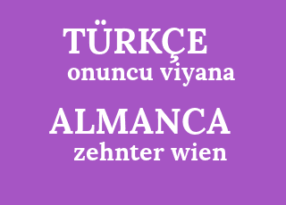 onuncu+viyana-zehnter+wien.png