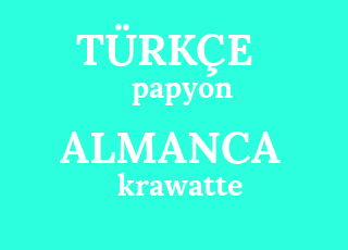 papyon-krawatte.png