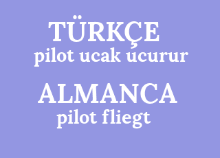 pilot+ucak+ucurur-pilot+fliegt.png