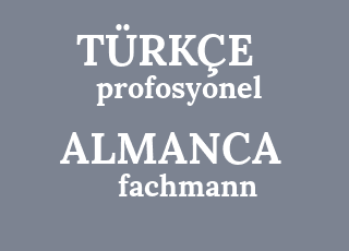 profosyonel-fachmann.png