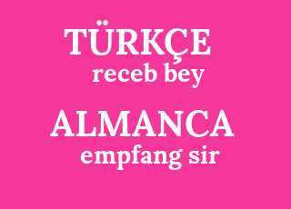 receb+bey-empfang+sir.png