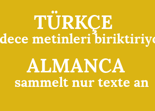 sadece+metinleri+biriktiriyor-sammelt+nur+texte+an.png