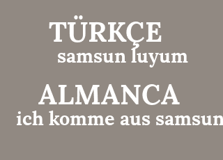 samsun+luyum-ich+komme+aus+samsung.png