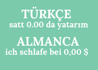 satt+0.00+da+yatar%C4%B1m-ich+schlafe+bei+0%2C00+%24.png