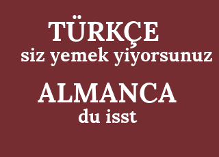 siz+yemek+yiyorsunuz-du+isst.png