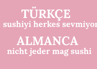 sushiyi+herkes+sevmiyor-nicht+jeder+mag+sushi.png