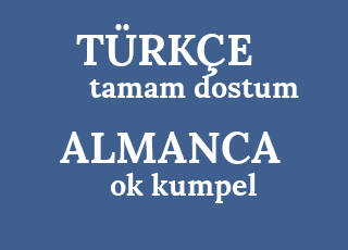 tamam+dostum-ok+kumpel.png