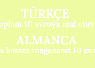 toplam+10+avroya+mal+oluyor-es+kostet+insgesamt+10+euro.png