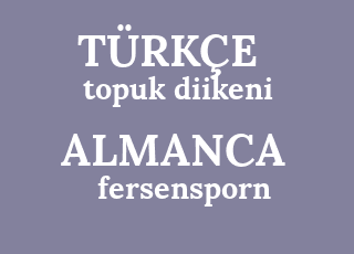 topuk+diikeni-fersensporn.png