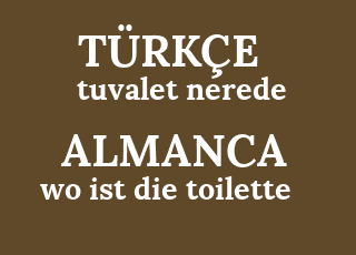 tuvalet+nerede-wo+ist+die+toilette.png