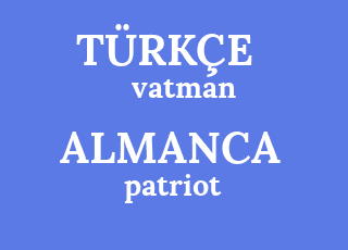 vatman-patriot.png