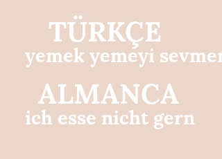 yemek+yemeyi+sevmem-ich+esse+nicht+gern.png