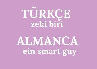 Almanca Ceviri Almanca Zeki Biri Ne Demek Zeki Biri Almancasi