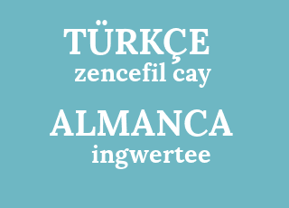 zencefil+cay-ingwertee.png