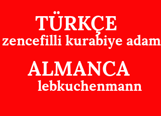 zencefilli+kurabiye+adam-lebkuchenmann.png